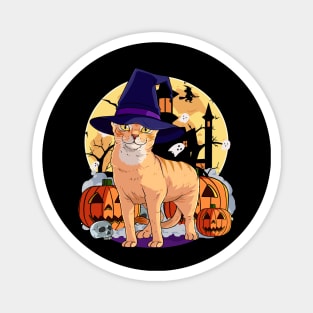 Abyssinian Cat Funny Halloween Witch Pumpkin Magnet